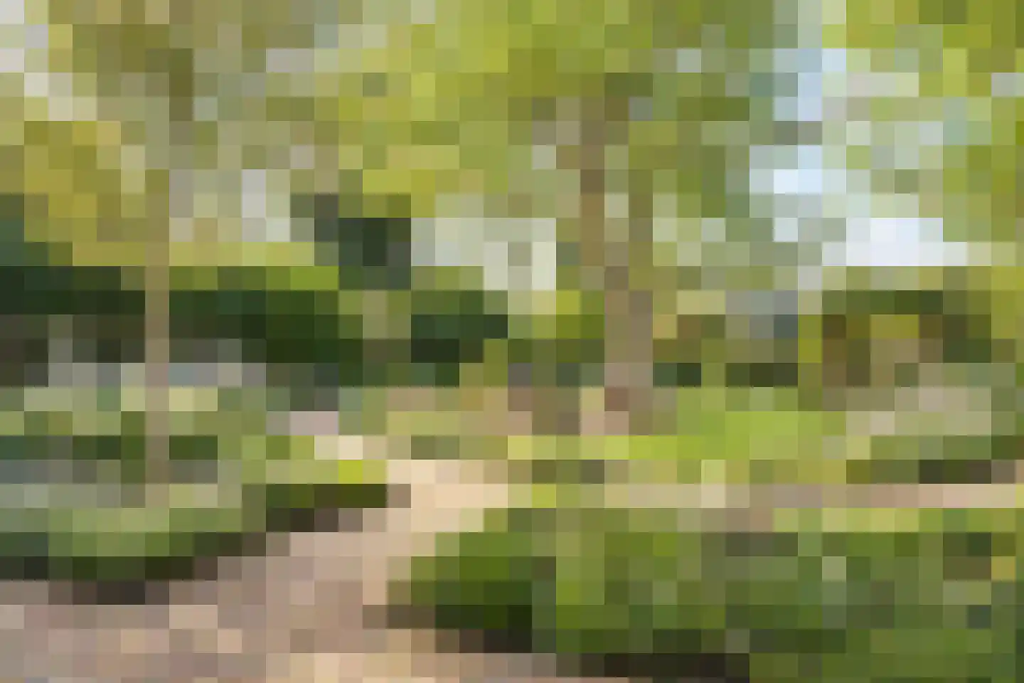 Molenstraat 46 Raamsdonk thumbnail 98