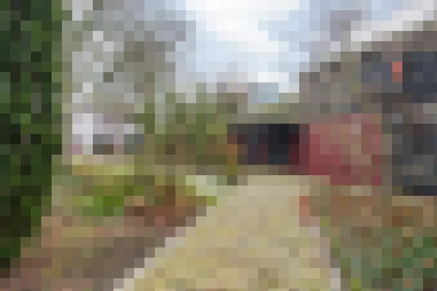Molenstraat 46 Raamsdonk thumbnail 99