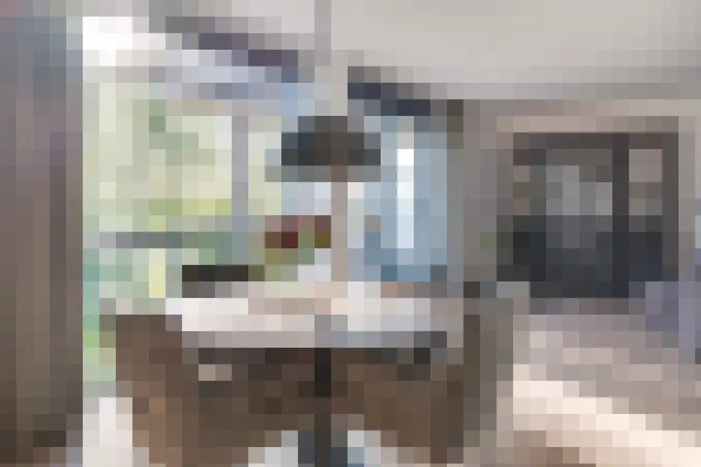 Molenstraat 47 Son en Breugel thumbnail 22