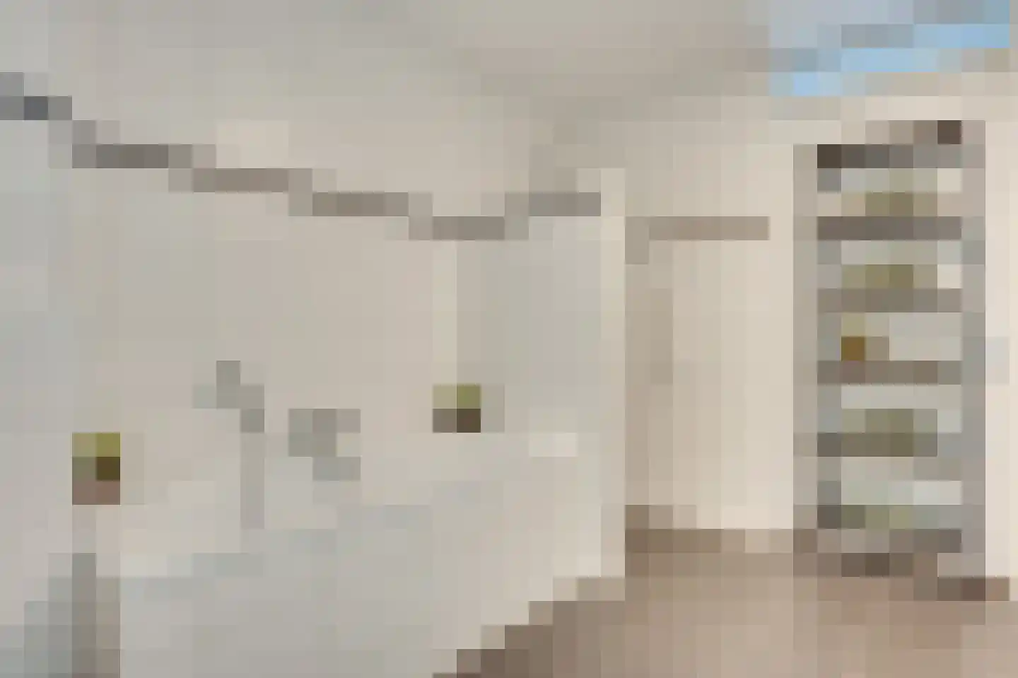 Molenstraat 47 Son en Breugel thumbnail 33