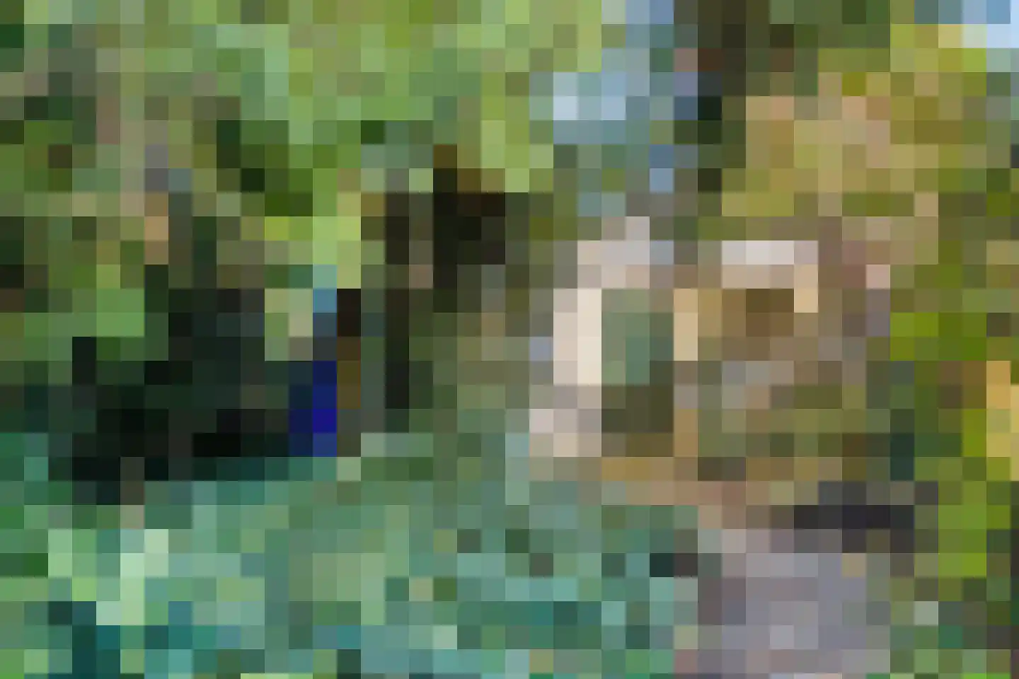 Molenstraat 47 Vught thumbnail 32