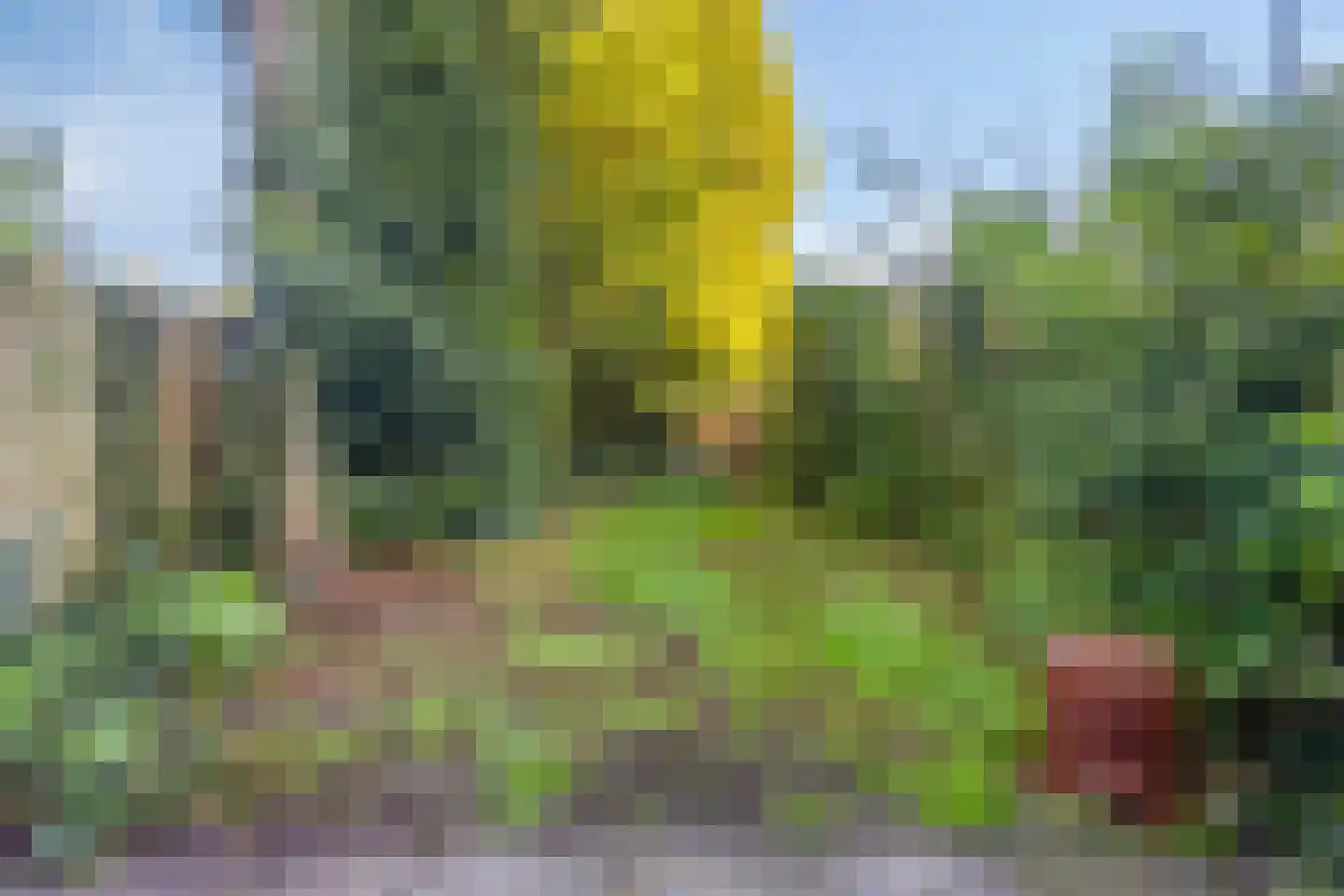 Molenstraat 47 Vught thumbnail 35