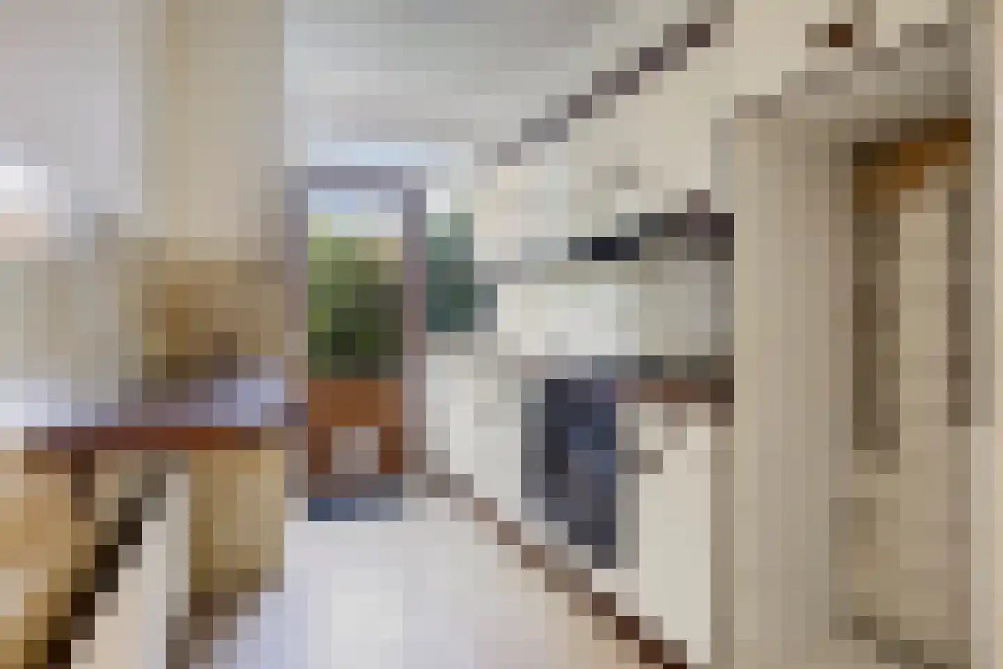 Molenstraat 47 Vught thumbnail 8