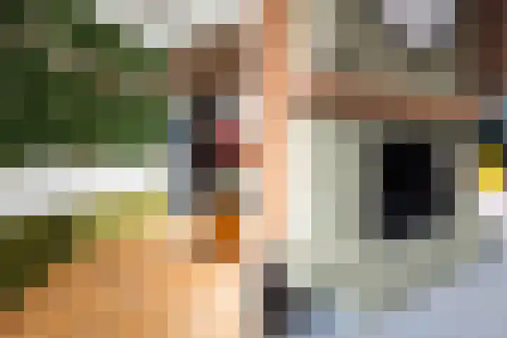 Molenstraat 47 Zoetermeer thumbnail 12
