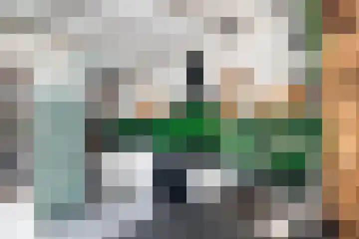 Molenstraat 47 Zoetermeer thumbnail 14