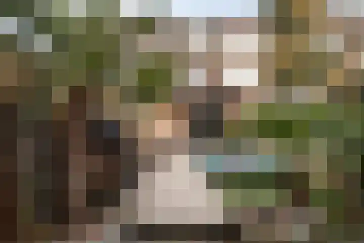 Molenstraat 47 Zoetermeer thumbnail 5