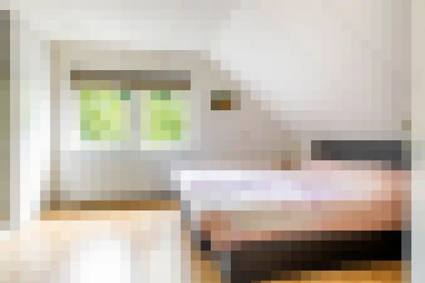 Molenstraat 48 Mussel thumbnail 29