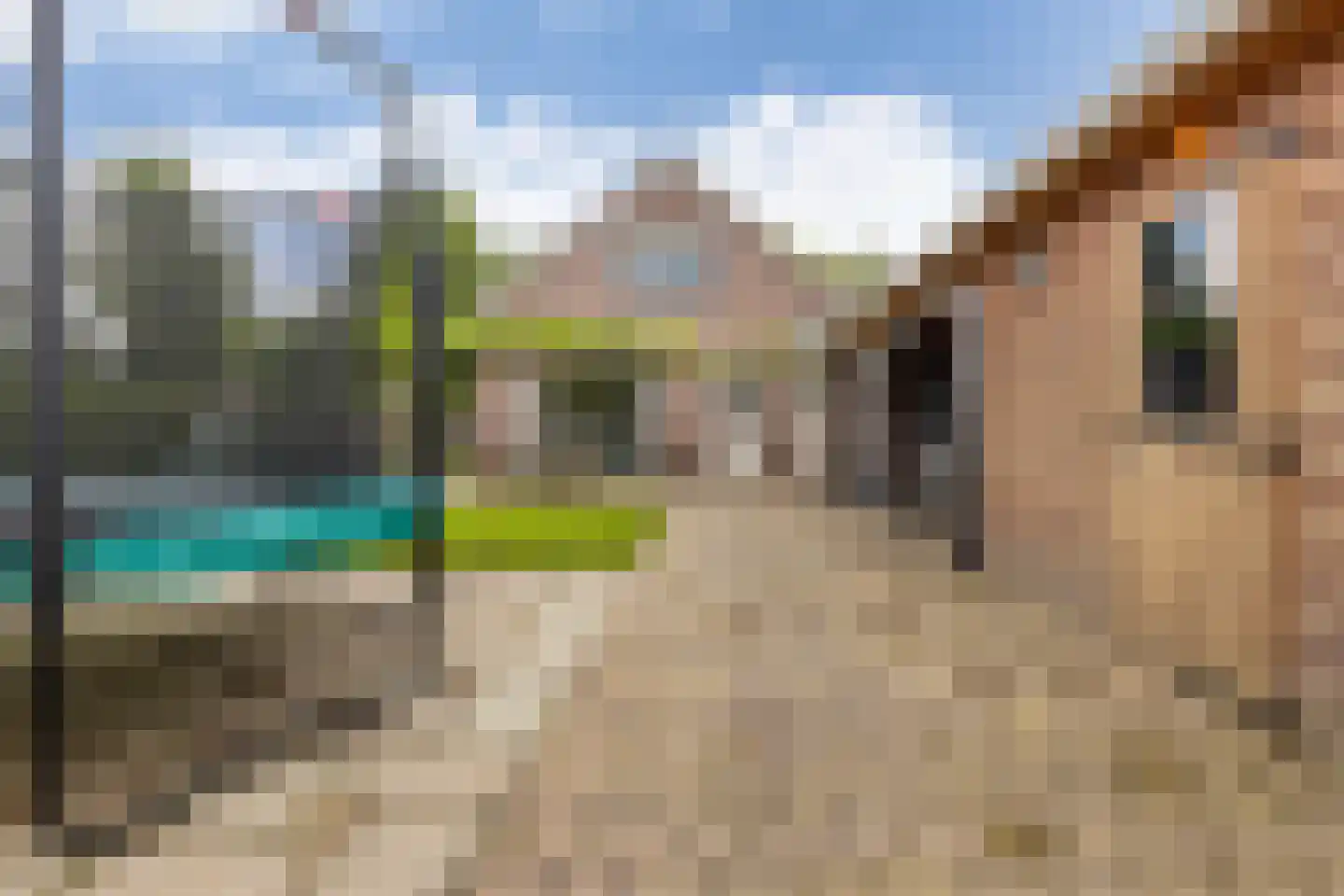 Molenstraat 48 Mussel thumbnail 39