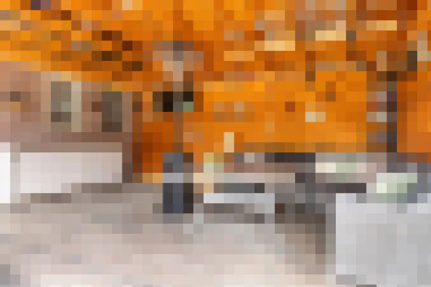 Molenstraat 48 Mussel thumbnail 41