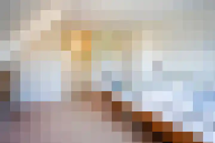 Molenstraat 49 Den Burg thumbnail 12