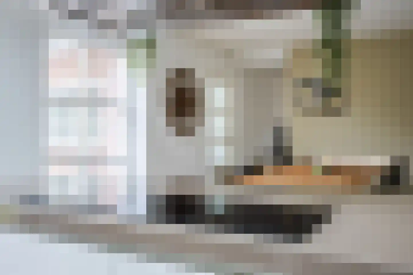 Molenstraat 49 Zeeland thumbnail 20