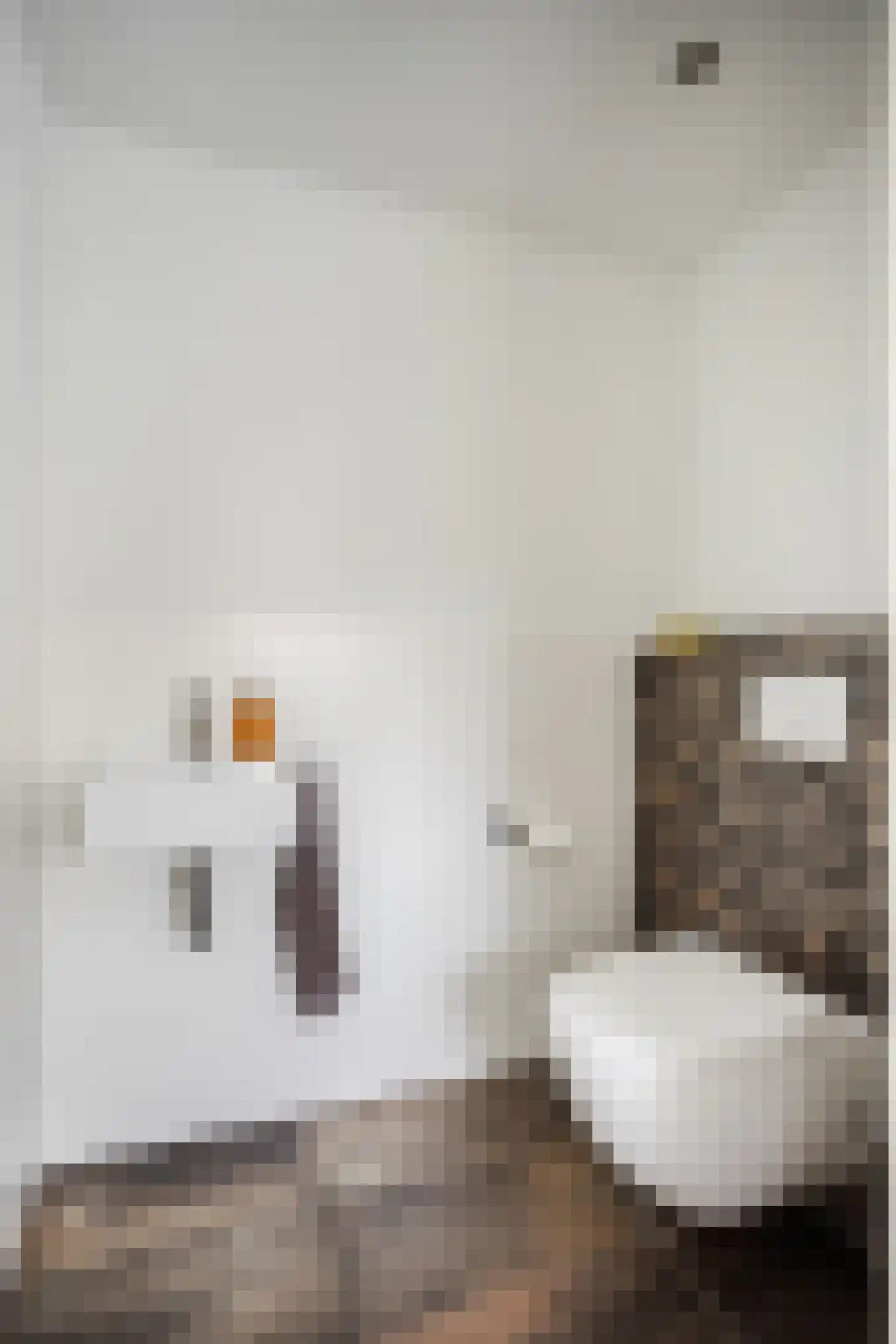 Molenstraat 49 Zeeland thumbnail 33
