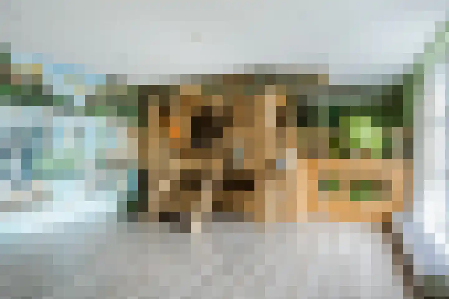 Molenstraat 49 Zeeland thumbnail 44