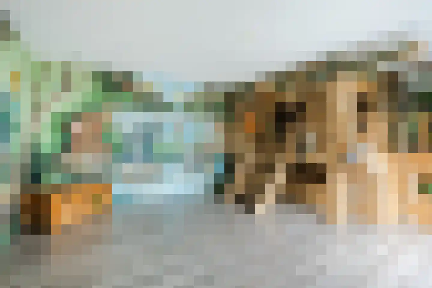Molenstraat 49 Zeeland thumbnail 45