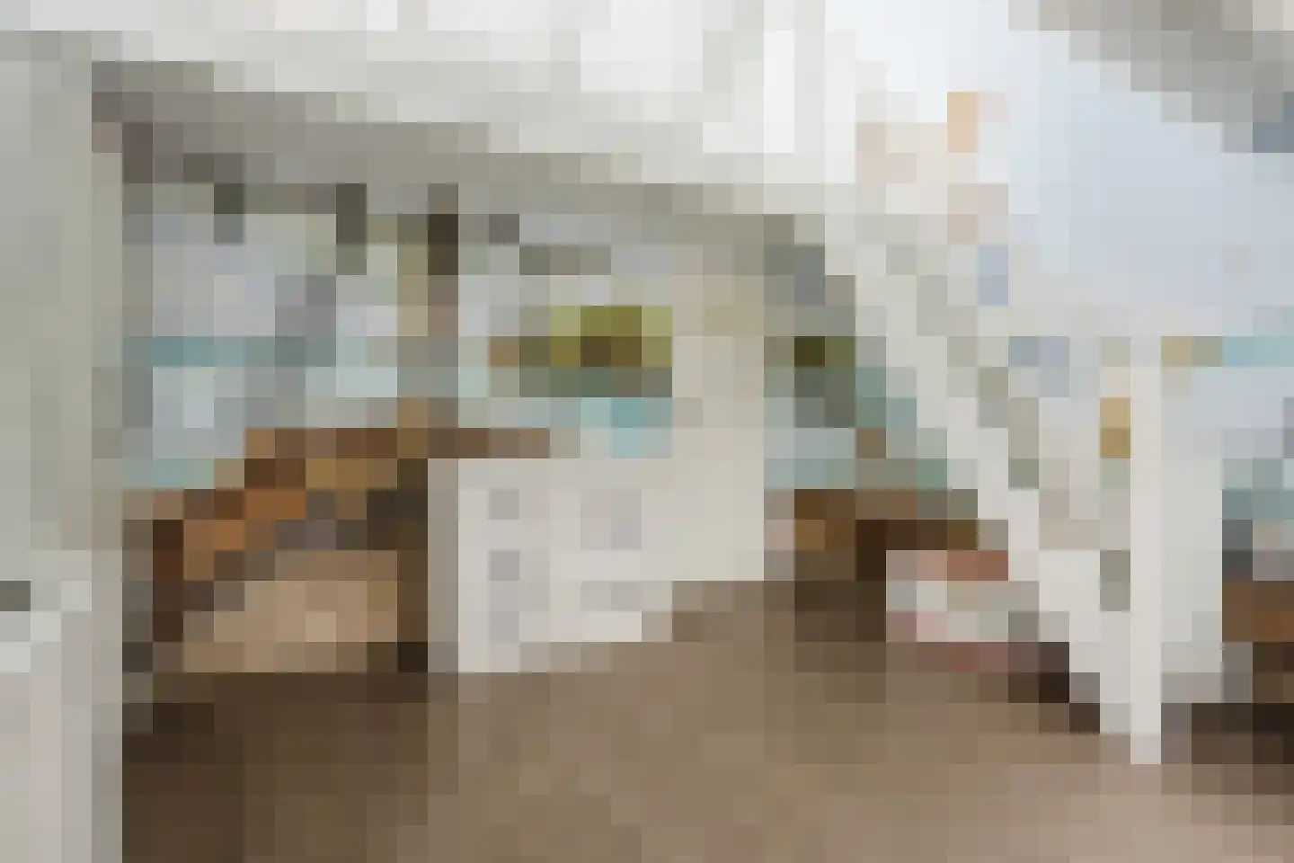 Molenstraat 49 Zeeland thumbnail 48