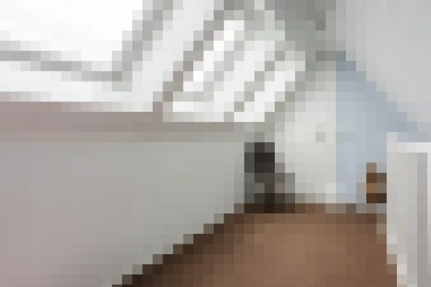 Molenstraat 49 Zeeland thumbnail 50