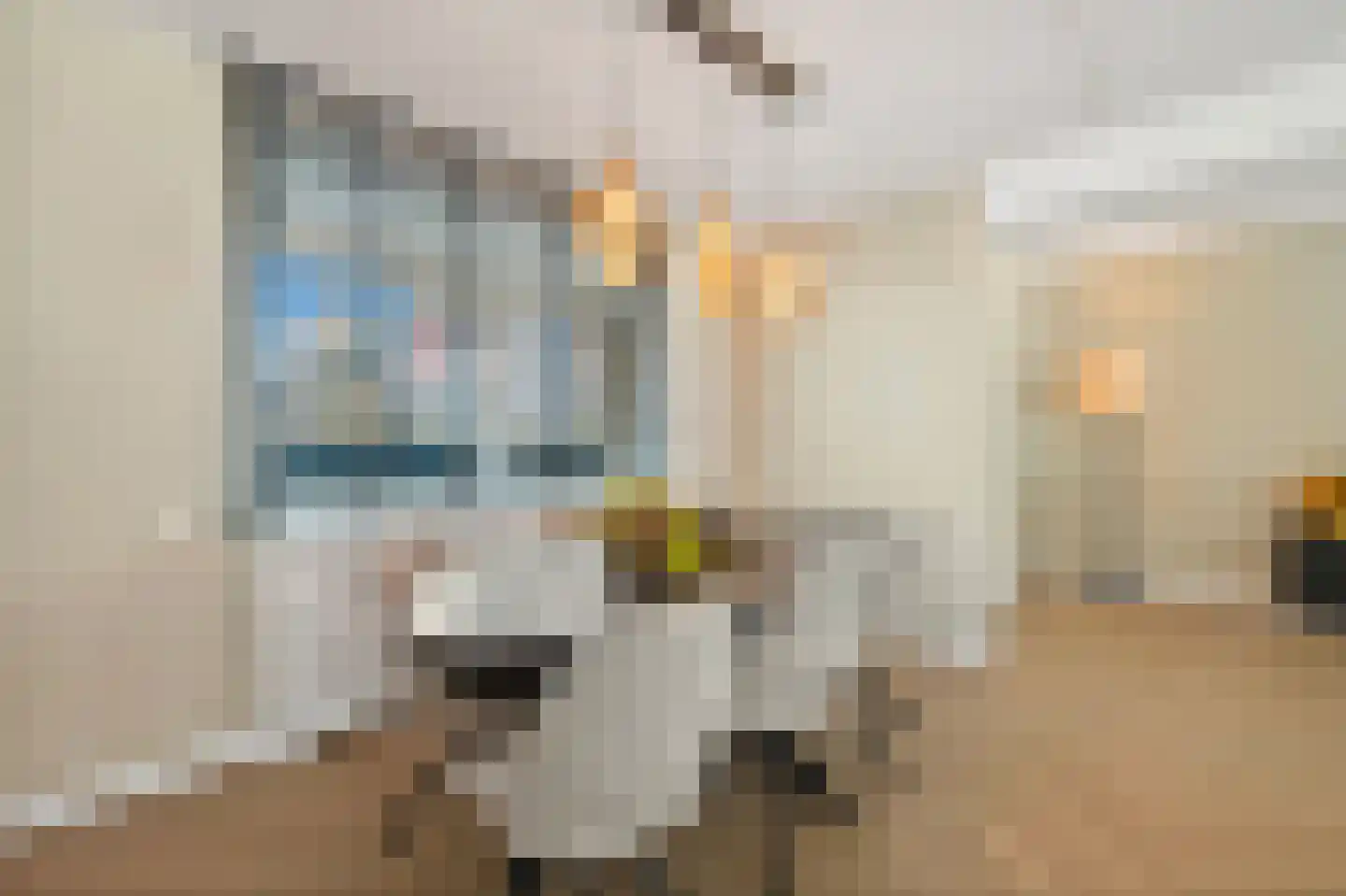 Molenstraat 5 A Monster thumbnail 16