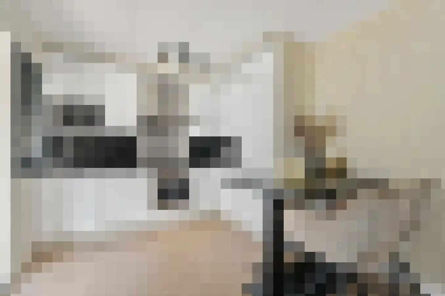 Molenstraat 5 A Monster thumbnail 17
