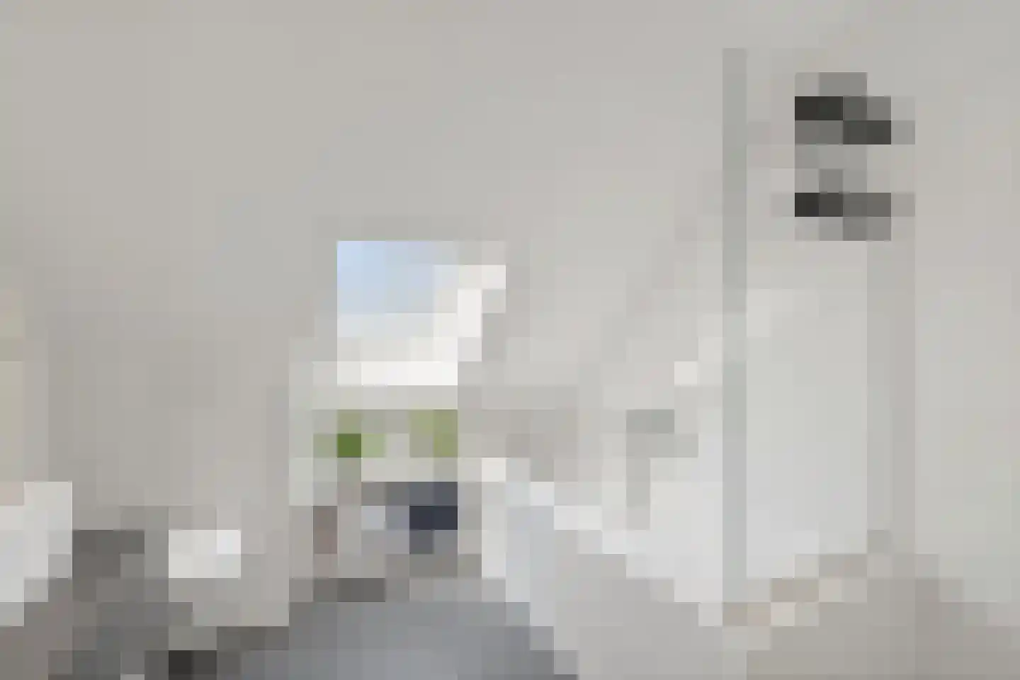 Molenstraat 5 A Monster thumbnail 32