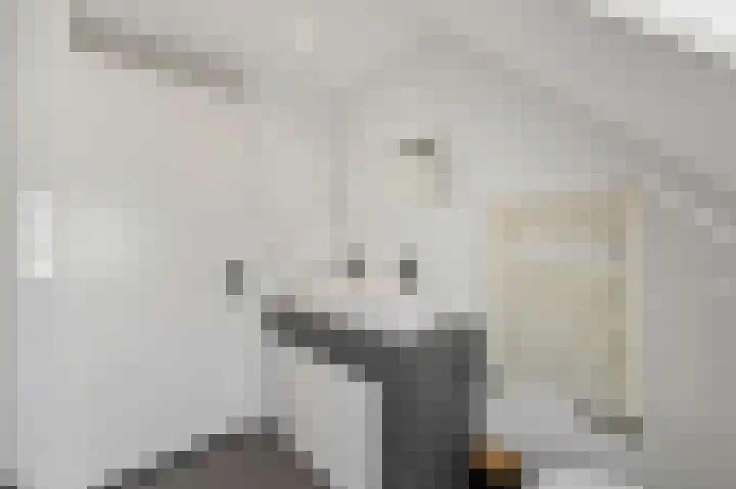 Molenstraat 5 A Monster thumbnail 33