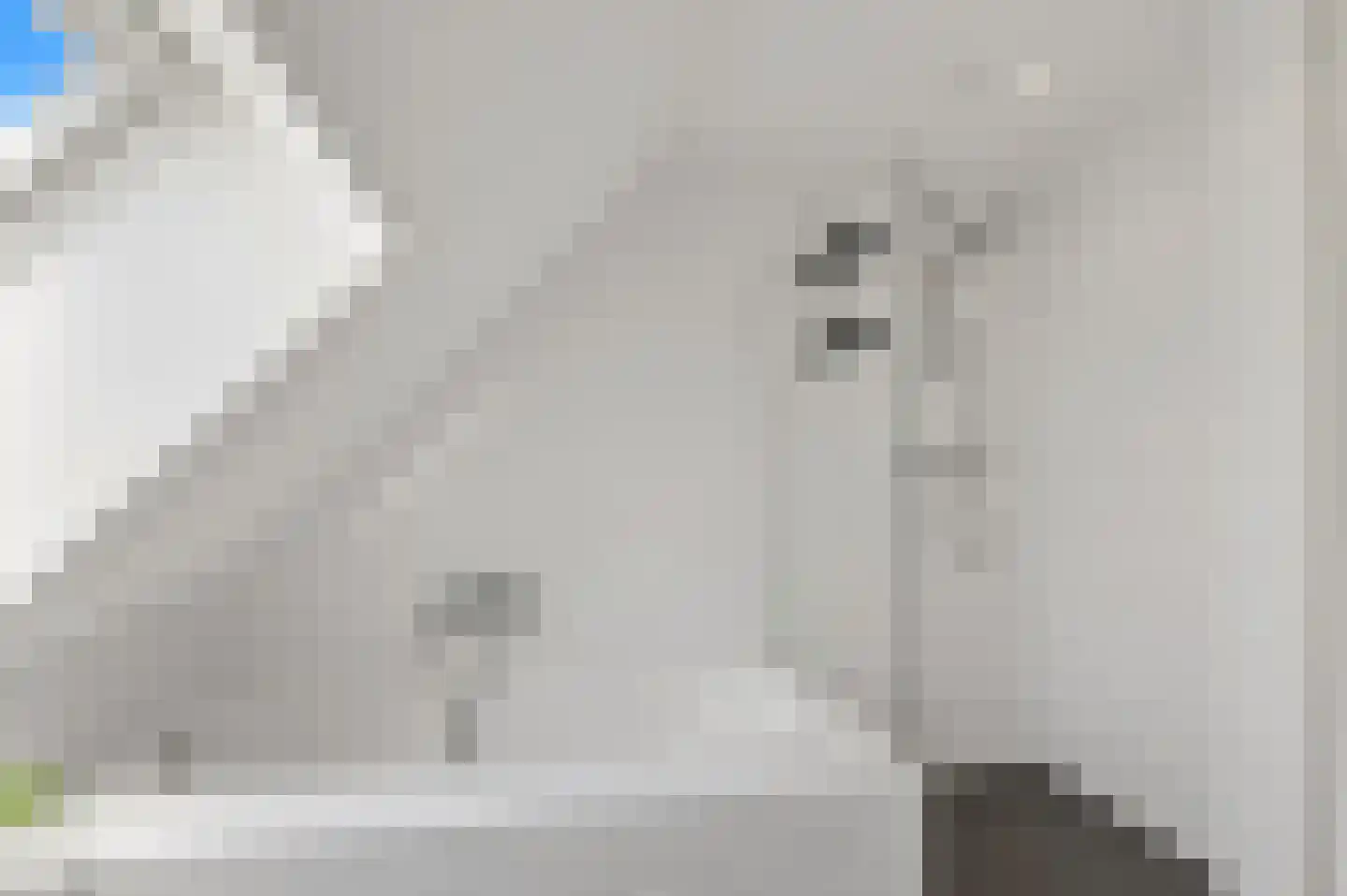 Molenstraat 5 A Monster thumbnail 34