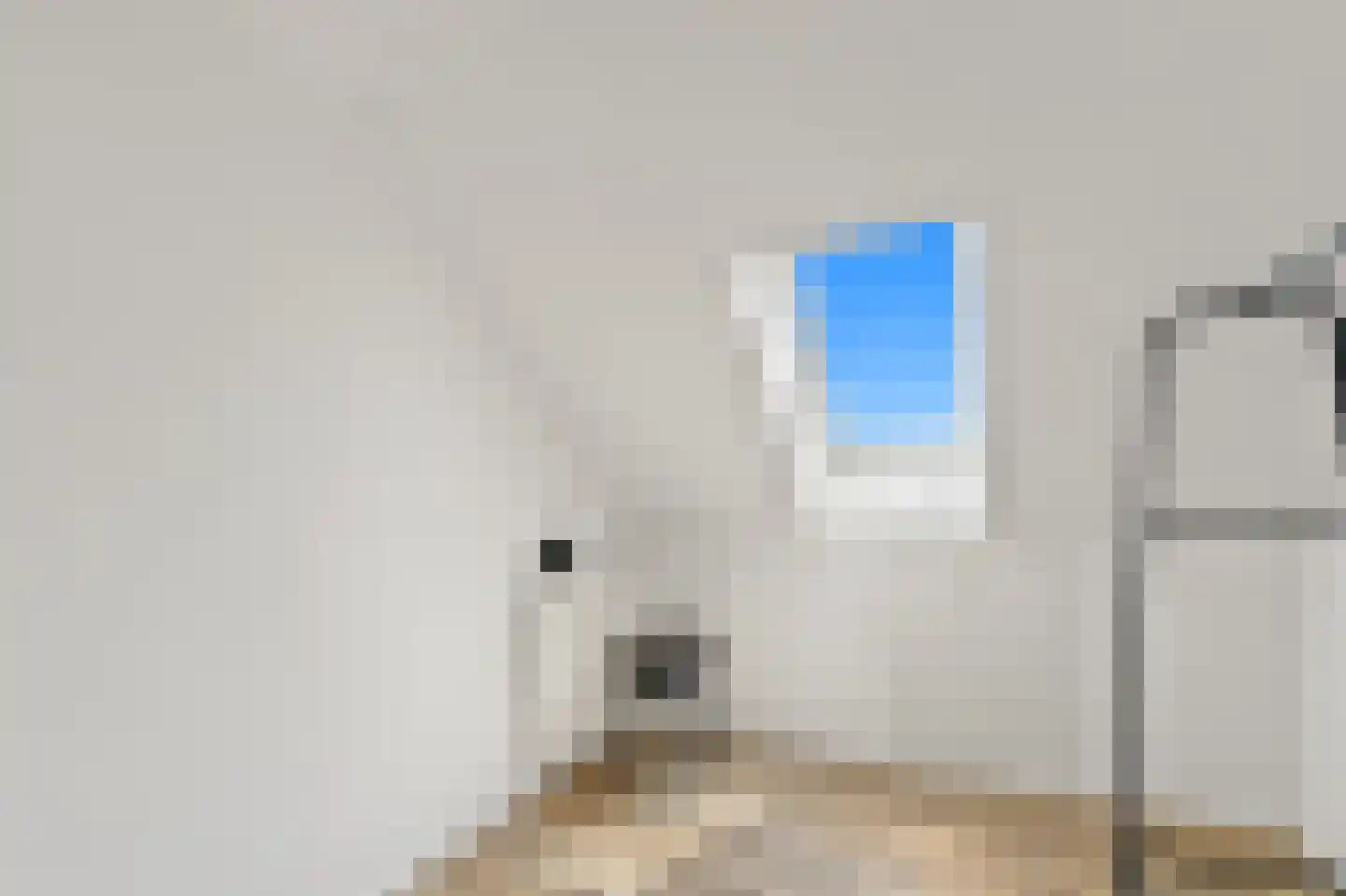 Molenstraat 5 A Monster thumbnail 36