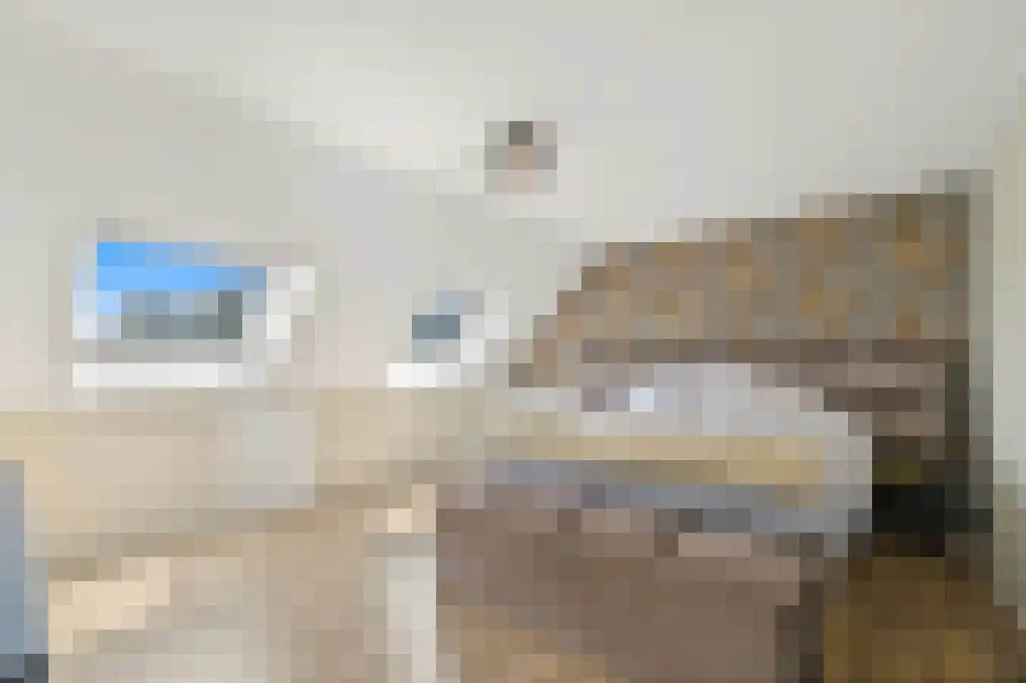Molenstraat 5 A Monster thumbnail 4
