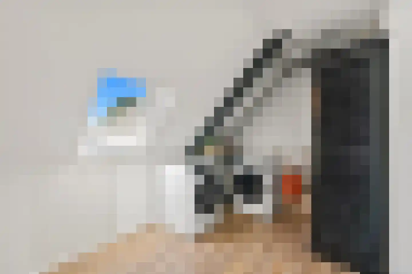 Molenstraat 5 A Monster thumbnail 40