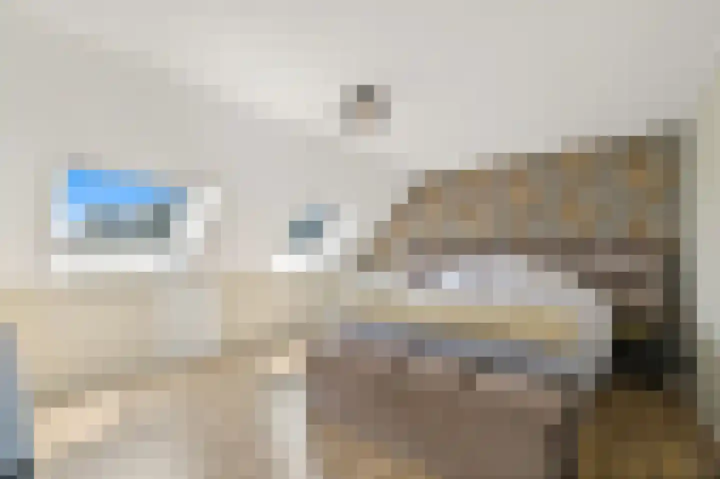 Molenstraat 5 A Monster thumbnail 41