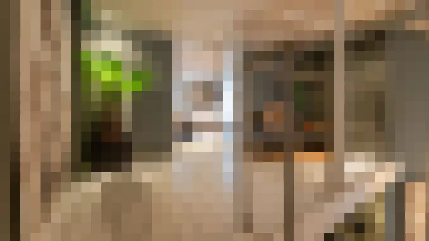 Molenstraat 5 Almelo thumbnail 14