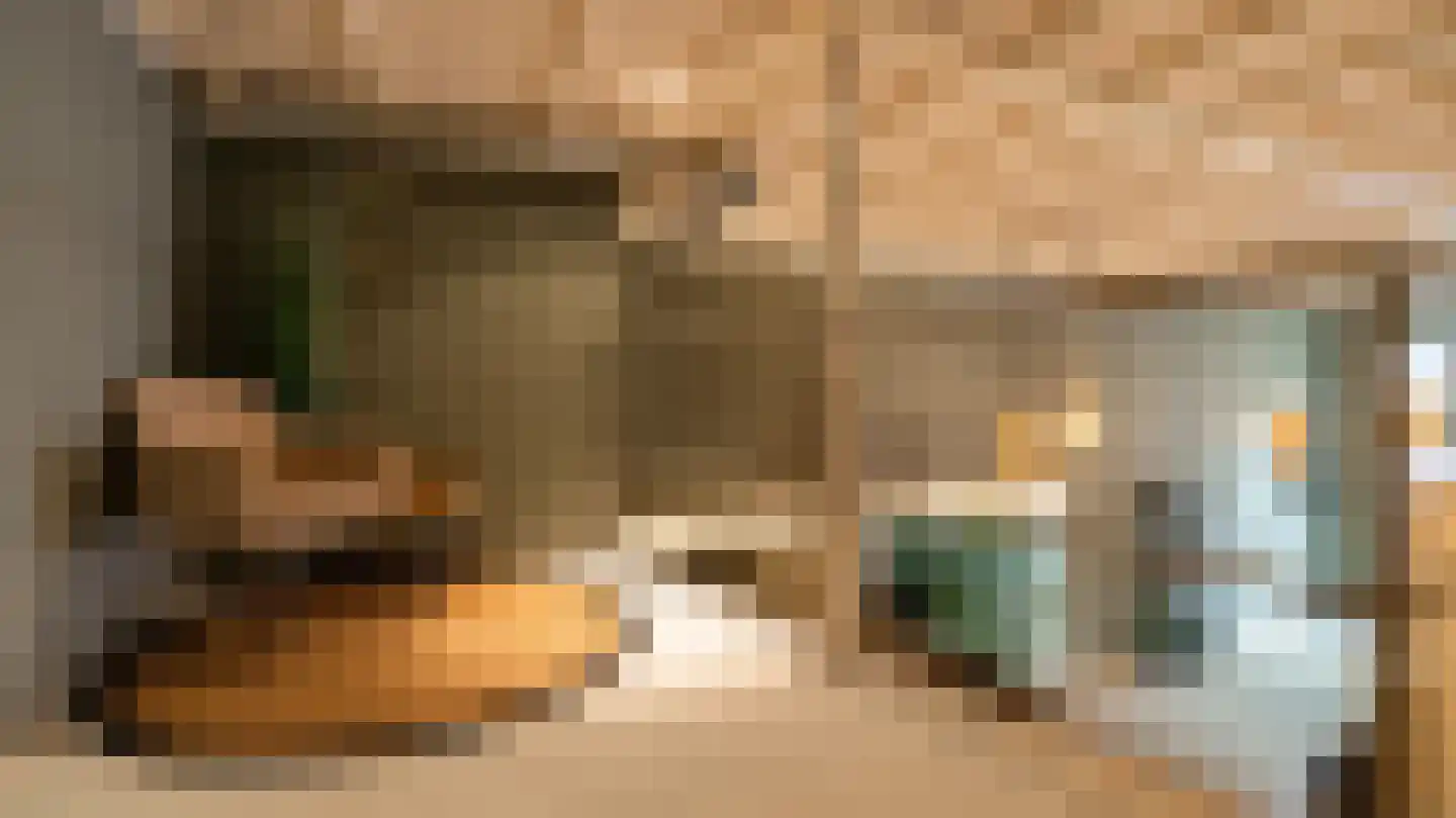 Molenstraat 5 Almelo thumbnail 15