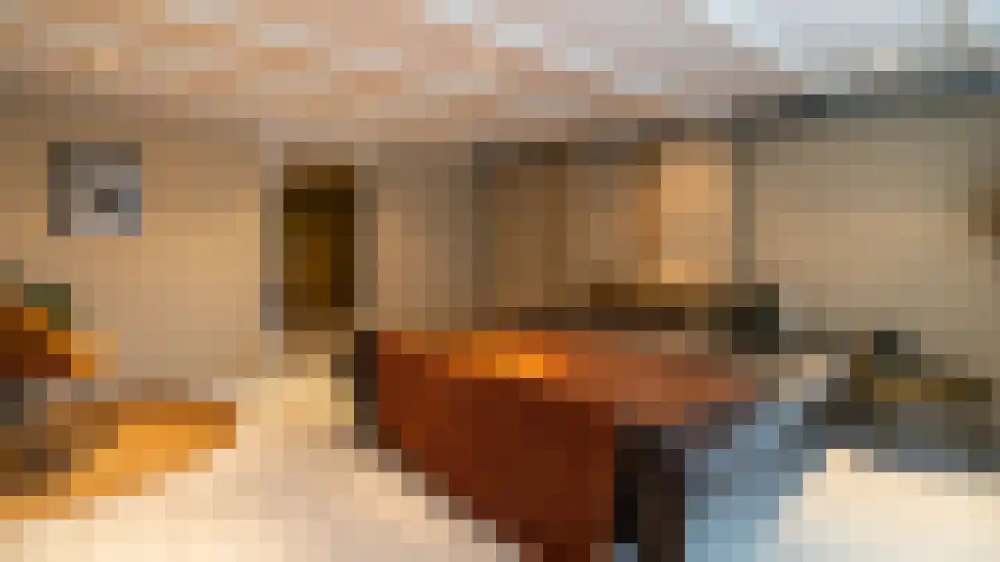 Molenstraat 5 Almelo thumbnail 18