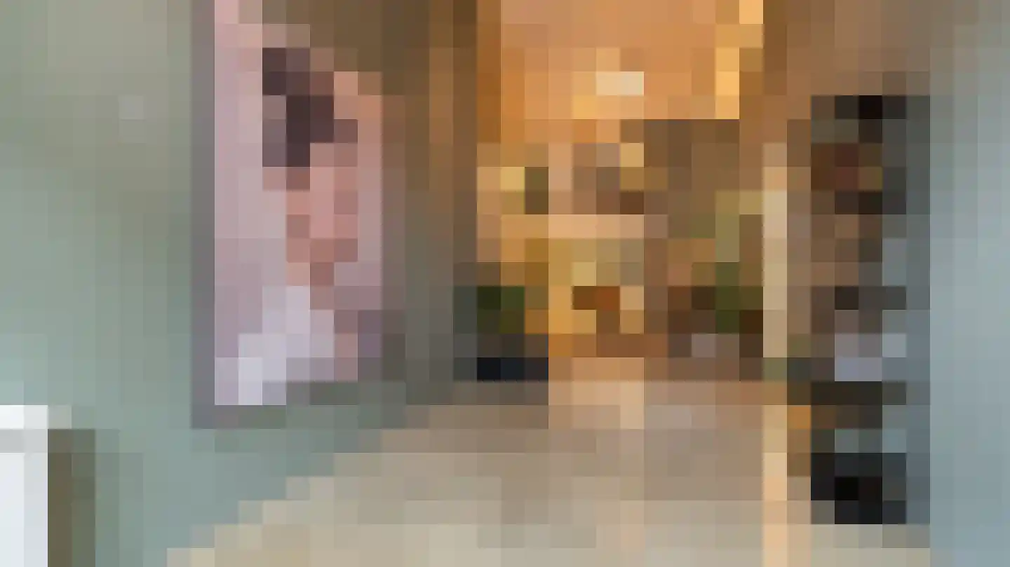 Molenstraat 5 Almelo thumbnail 4