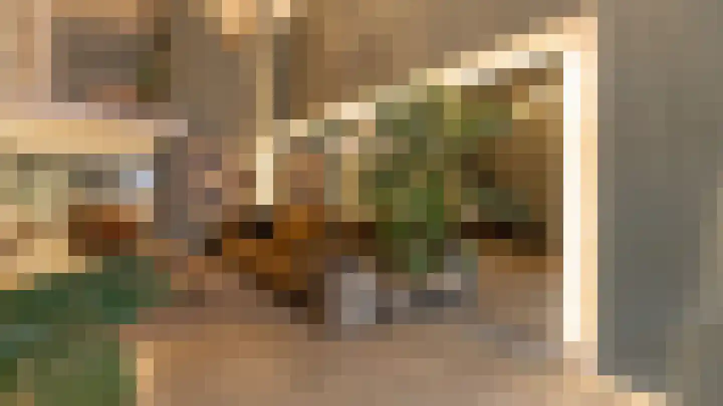 Molenstraat 5 Almelo thumbnail 5