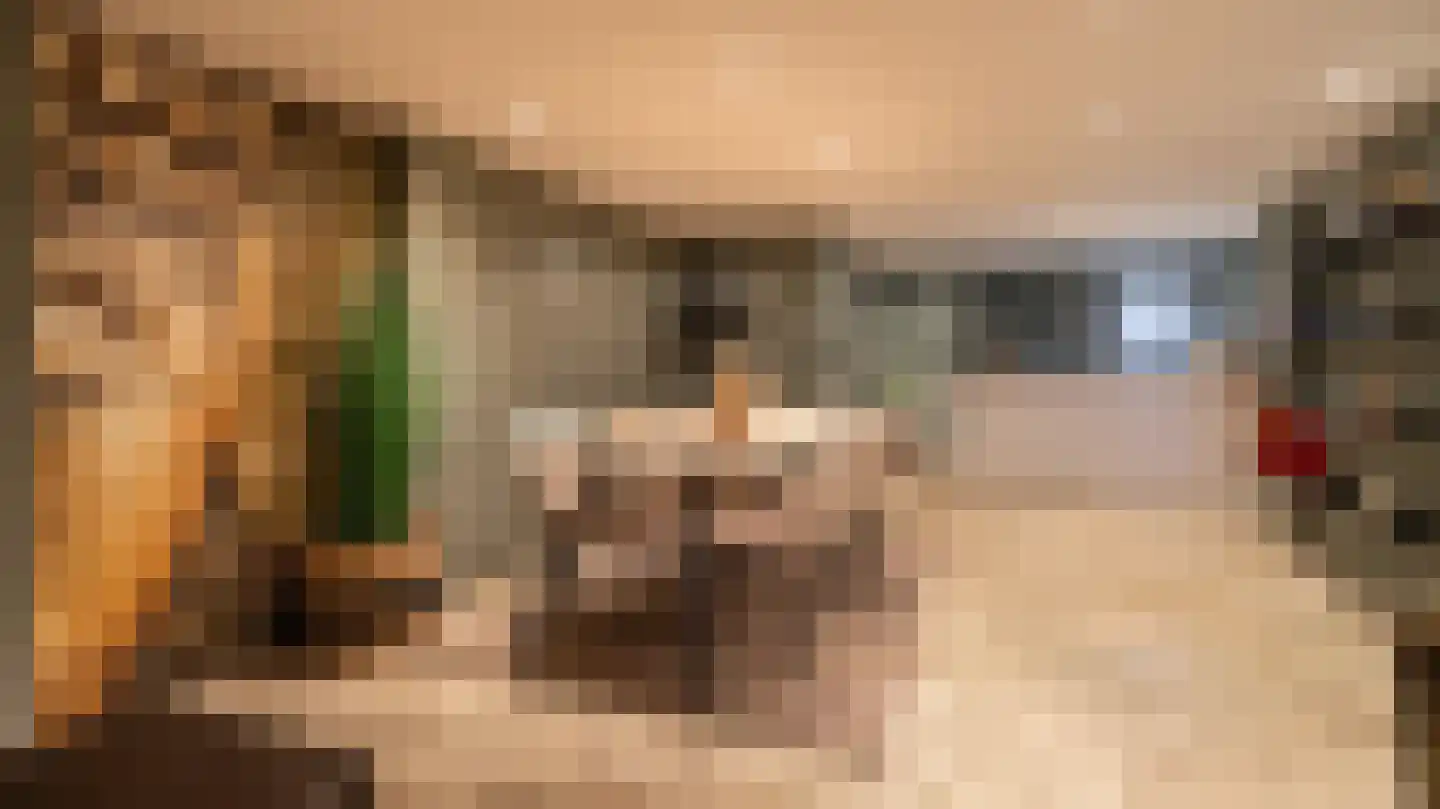 Molenstraat 5 Almelo thumbnail 8