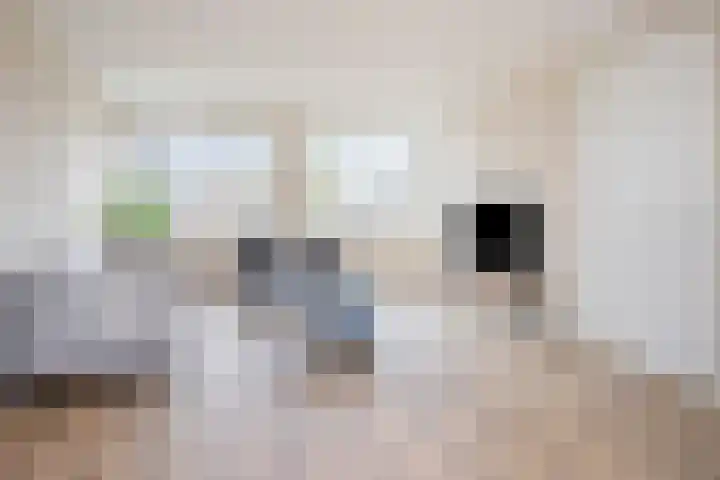 Molenstraat 5 D Lith thumbnail 15