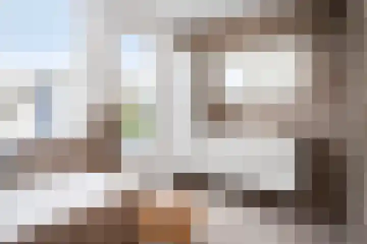 Molenstraat 5 D Lith thumbnail 23