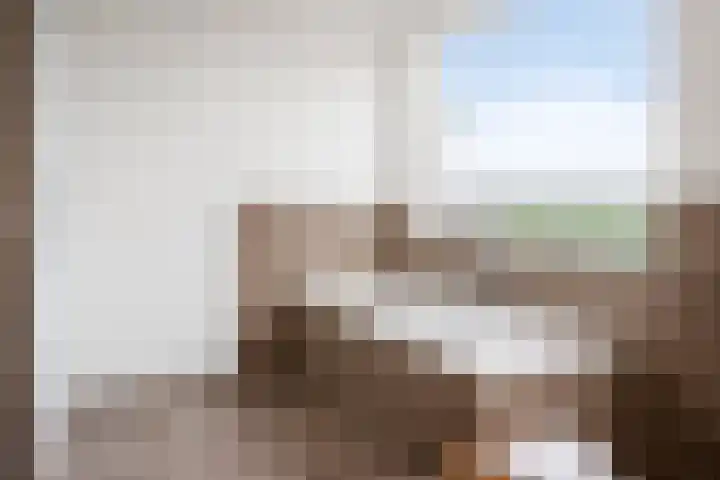 Molenstraat 5 D Lith thumbnail 24
