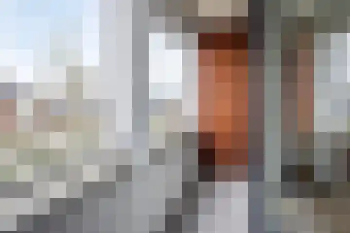 Molenstraat 5 D Lith thumbnail 30