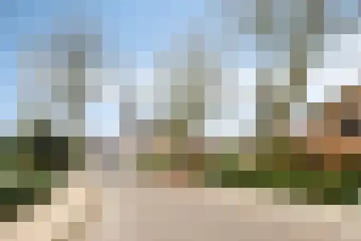Molenstraat 5 D Lith thumbnail 39