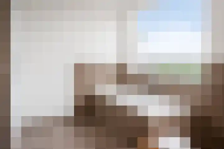 Molenstraat 5 D Lith thumbnail 4