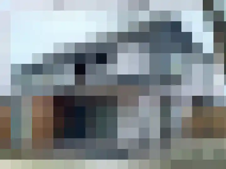 Molenstraat 5 D Lith thumbnail 5
