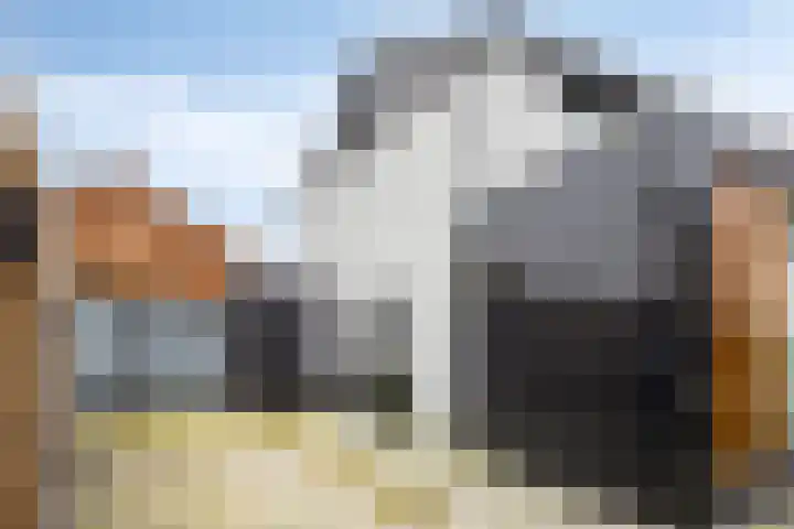 Molenstraat 5 D Lith thumbnail 7