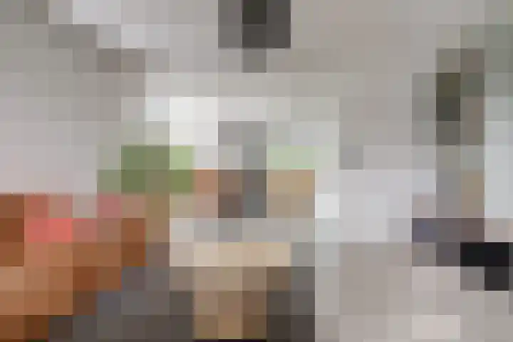 Molenstraat 5 Meijel thumbnail 10