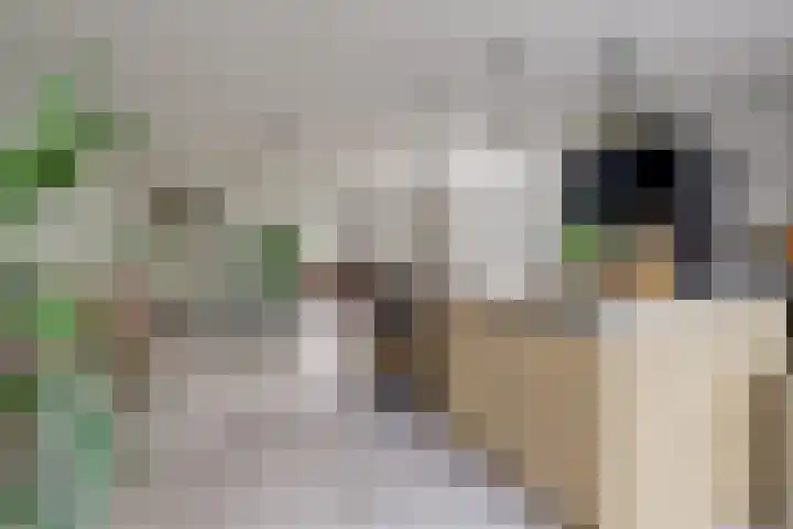 Molenstraat 5 Meijel thumbnail 13