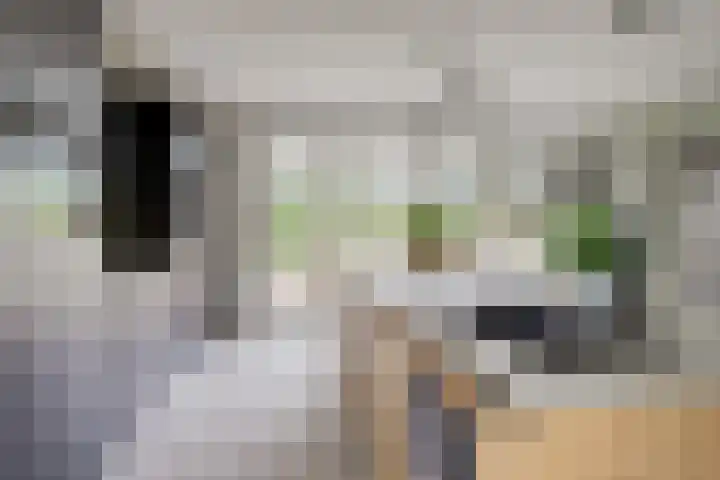 Molenstraat 5 Meijel thumbnail 15