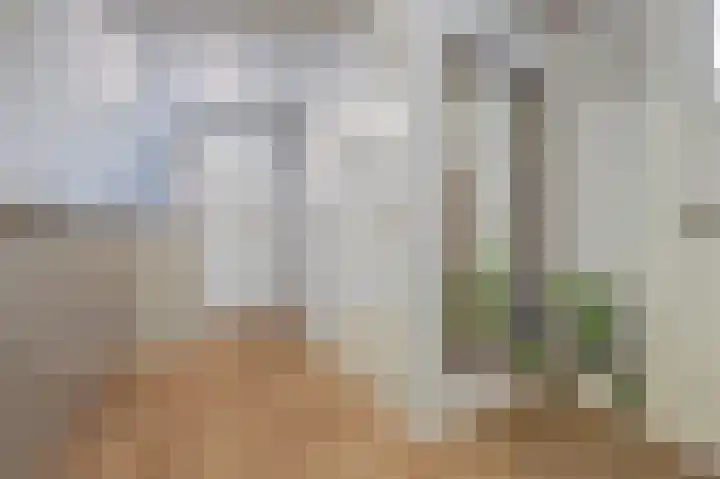 Molenstraat 5 Meijel thumbnail 22