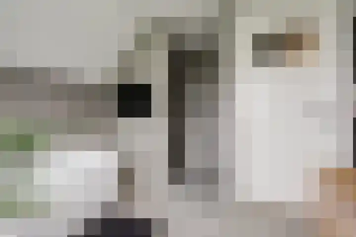 Molenstraat 5 Meijel thumbnail 30