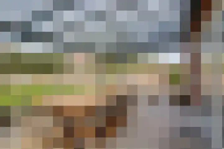 Molenstraat 5 Meijel thumbnail 32