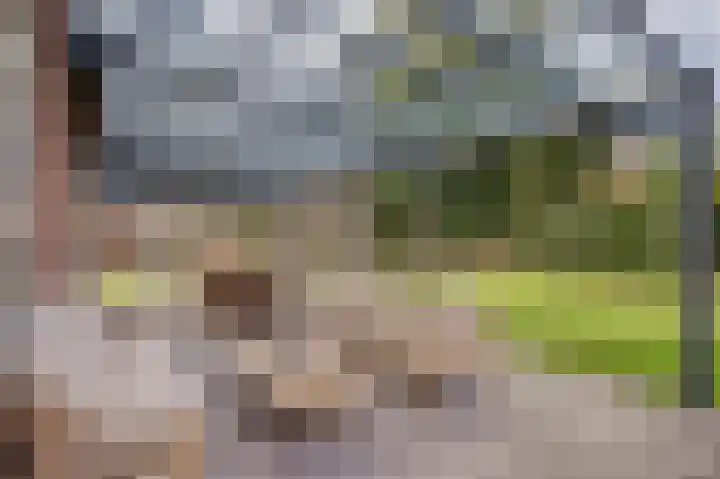 Molenstraat 5 Meijel thumbnail 33